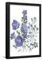 Essential Black
