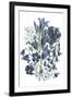Gramercy Black