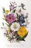 Spring Blooms-Jane W. Loudon-Giclee Print