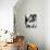 Jane Wyman-null-Photo displayed on a wall