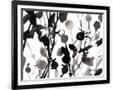 Gramercy Black