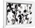 Gramercy White