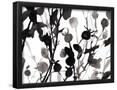 Essential Black