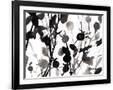 Gramercy Black
