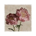 Peony II-Janel Pahl-Giclee Print