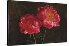 Shades of Poppies-Janel Pahl-Giclee Print