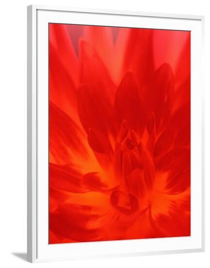 Framed Photographic Print, , large