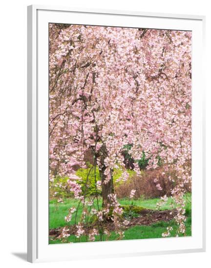 Framed Photographic Print, , large