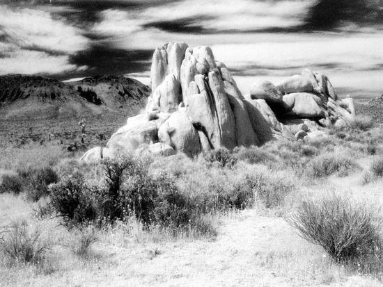 Photographic Print, , large