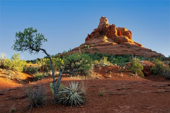 Premium Photographic Print, , large