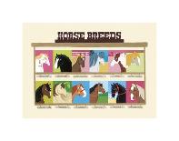 Horse Breeds-Janell Genovese-Art Print