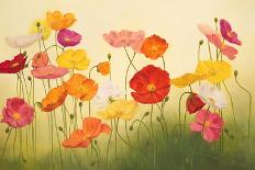 Sunlit Poppies-Janelle Kroner-Stretched Canvas