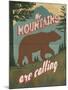 Wood Mount