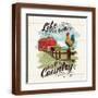 Brown Frame