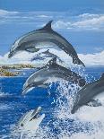 Dolphins-Janet Blakeley-Framed Stretched Canvas