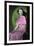 Janet Gaynor (1906-198), American Actress, 20th Century-null-Framed Giclee Print