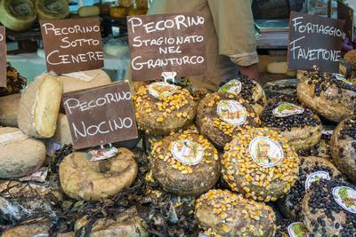 Cortona, Italy. Pecorino Sotto Vinaccia cheese rounds aged under straw.