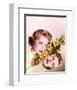 Janet Leigh-null-Framed Photo