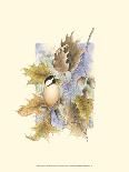 Chickadee and Oak Leaves-Janet Mandel-Art Print