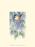 Chickadee and Oak Leaves-Janet Mandel-Framed Art Print