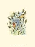 Marsh Wren and Cattails-Janet Mandel-Art Print