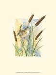 Chickadees and Pussy Willow-Janet Mandel-Art Print