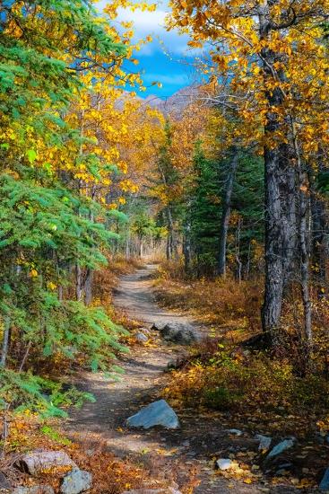 Premium Photographic Print, , large