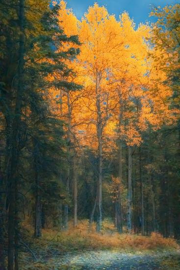 Photographic Print, , large
