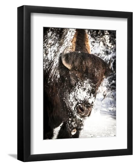 Photographic Print, , large
