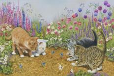 Tabbies-Janet Pidoux-Giclee Print