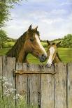 Mother and Foal-Janet Pidoux-Giclee Print