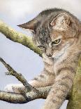 Tabby in Tree-Janet Pidoux-Giclee Print