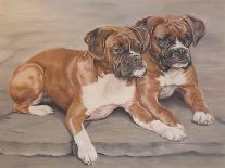 Two Boxer Dogs-Janet Pidoux-Giclee Print