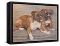 Framed Canvas