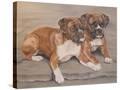Stretched Canvas