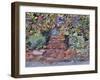 Janet's Steps, Cambridge, Massachusetts-Christine McKechnie-Framed Giclee Print