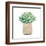 Brown Frame