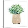 Stretched Canvas