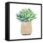 Canvas Black