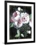 Gramercy Black