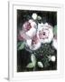 Gramercy White