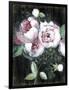 Gramercy Black