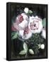 Essential Black