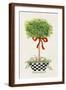 Brown Frame