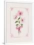 Gramercy White