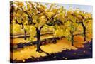 Stretched Canvas
