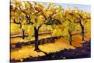 Stretched Canvas
