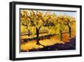 Black Frame