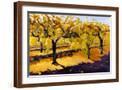 Brown Frame