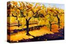 Stretched Canvas